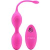 Bile Vaginale Dual Motor Kegel System Roz